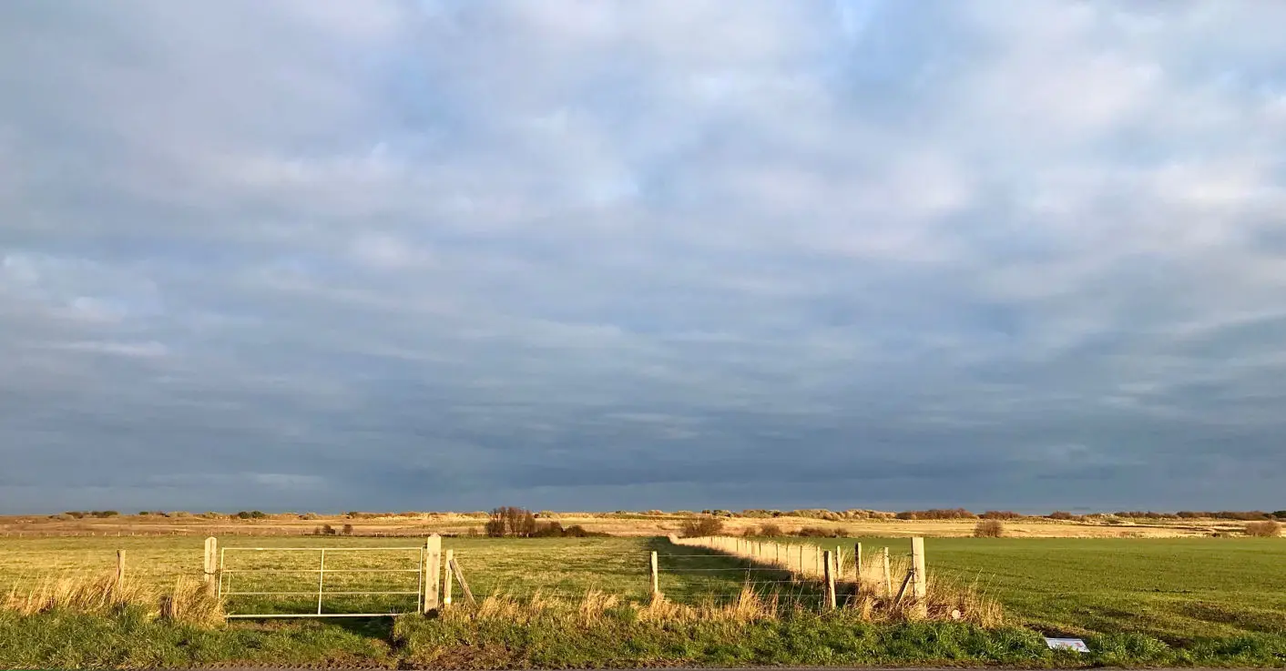 Les premiers pas des Canadiens 